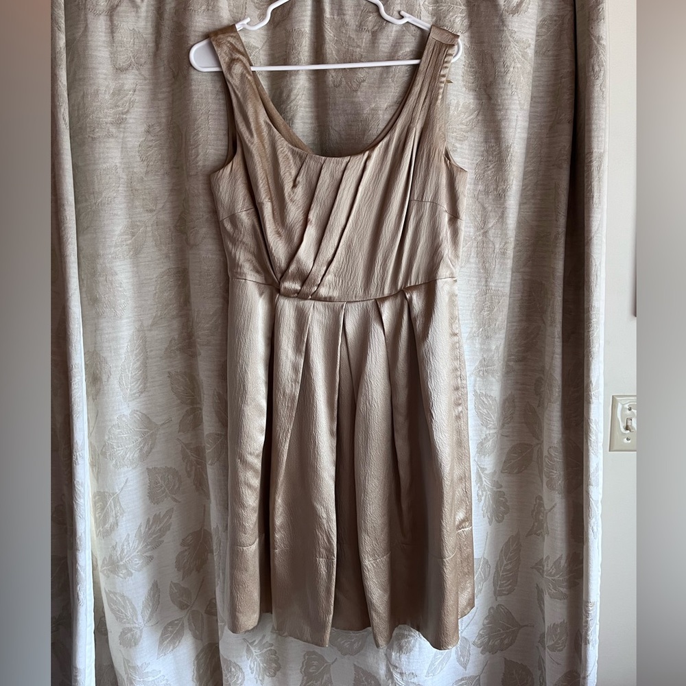 Banana Republic Champagne Silk Dress with Pockets Size 10